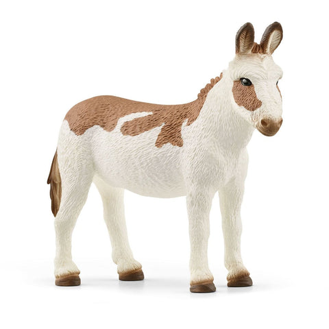 American Spotted Donkey 13961