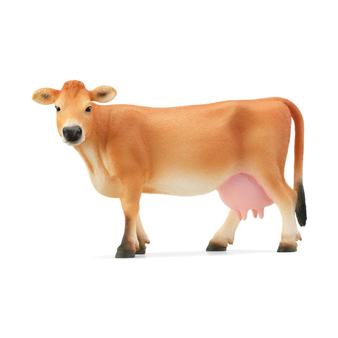 Jersey Cow 13967