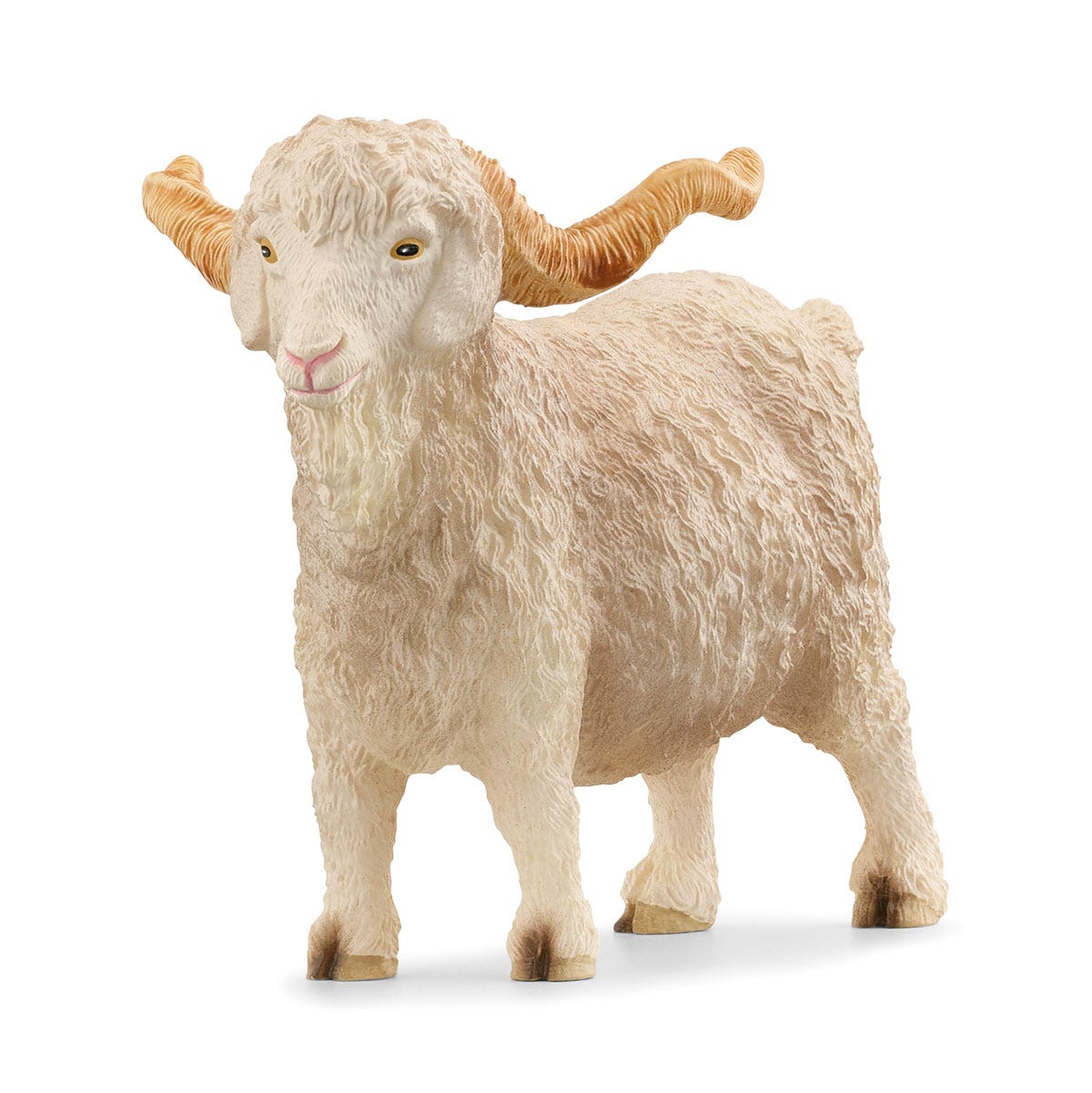 Angora Goat 13970