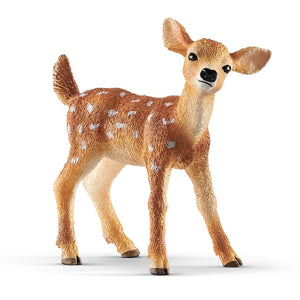 White-Tailed Fawn 14820