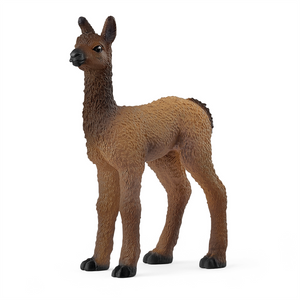 Llama Foal 14890