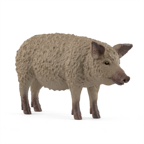 Mangalica Pig 14892