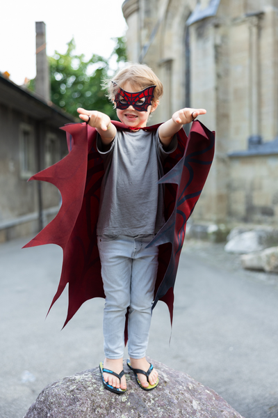 Great Pretenders Web Weaver Soft Wings with Mask
