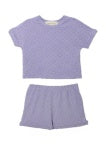 Purple Veronica Set