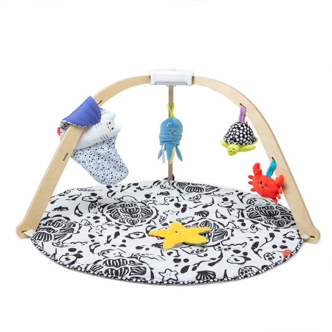 MD Ocean Easy-Fold Play Gym