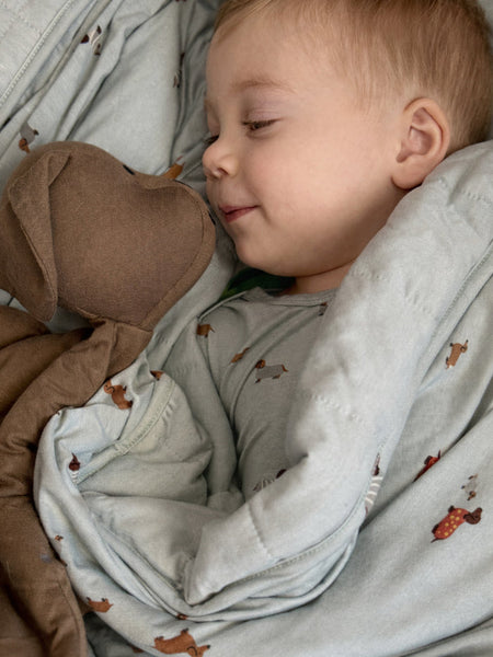 Woof Mini Cloud Blanket 1.0 TOG
