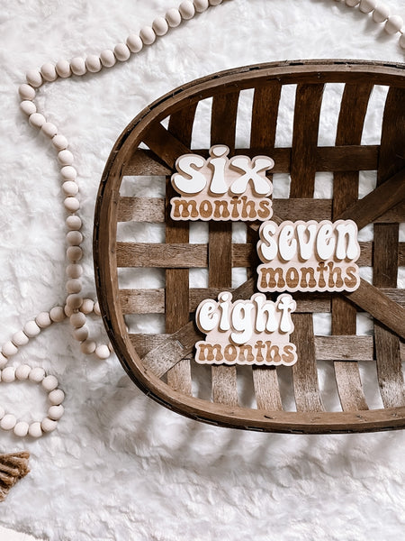 Wooden Monthly Milestone Retro Set