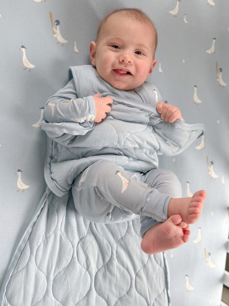 Baseball Goose 1.0 TOG Transitional Swaddle Bag