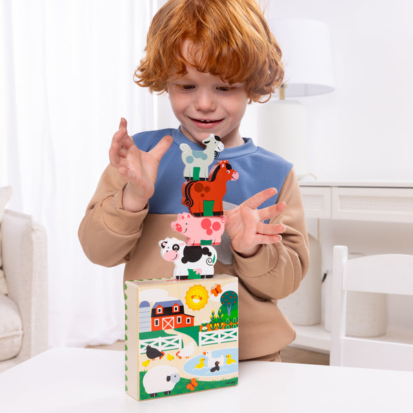 Wooden Animal Matching Farm