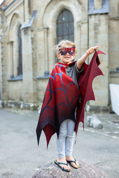 Great Pretenders Web Weaver Soft Wings with Mask
