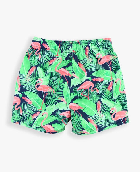 Swim Trunks-Flamingo Frenzy