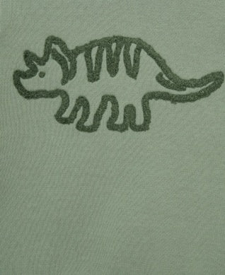Dino Sweatshirt Set
