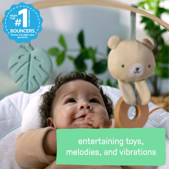 Cozy Spot Soothing Baby Bouncer w/Wooden Arch