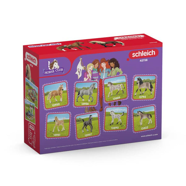 Horse Club Paso Peruano - 42738