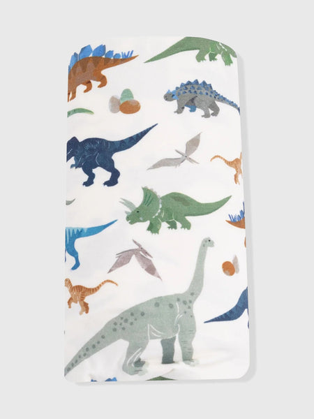Swaddle Blanket - Washy Dinos