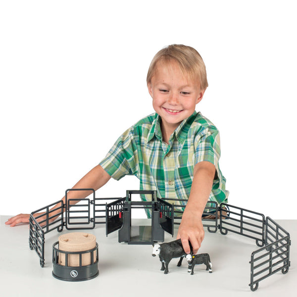 BC 12-Piece Ranch Set