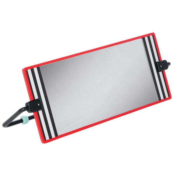 Manhattan Toy Wimmer Discovery Mirror