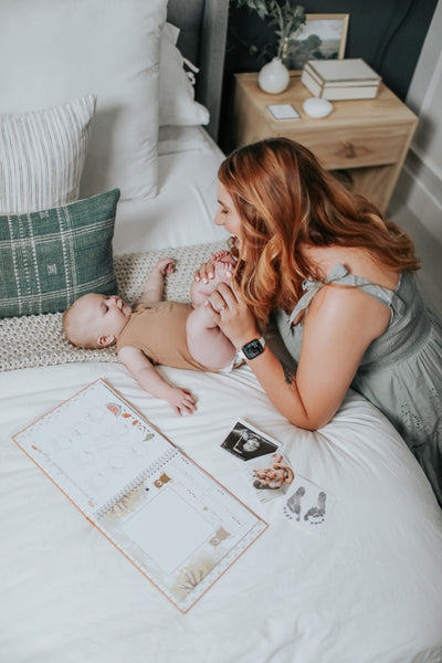 Teddy Bears Picnic Luxury Baby Memory Book
