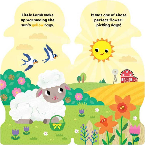 Little Lamb Board Book