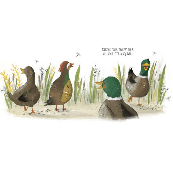 Duck's Ditty