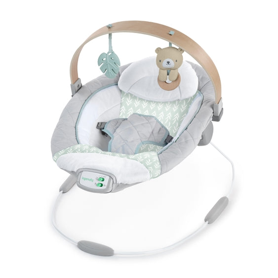 Cozy Spot Soothing Baby Bouncer w/Wooden Arch