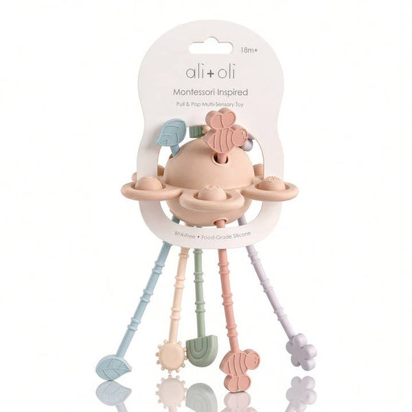 Montessori Multi-Sensory Pull & Pop Toy