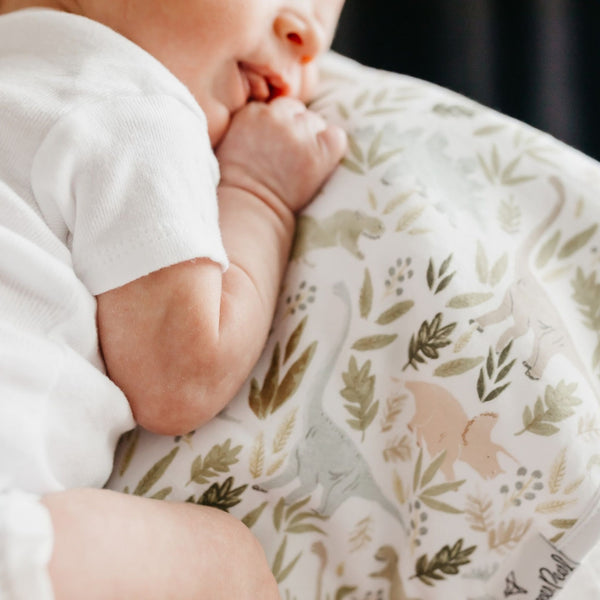 Burp Cloth Set - Rex