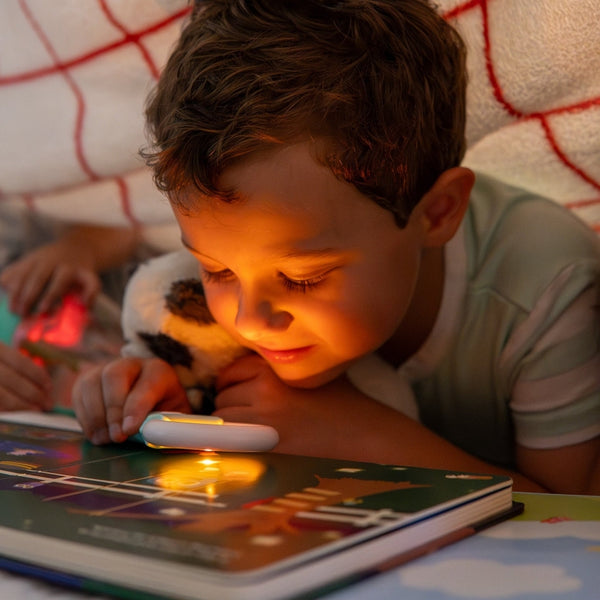 Light-Up Library - Princess Ida and Her Missing Magic Wand