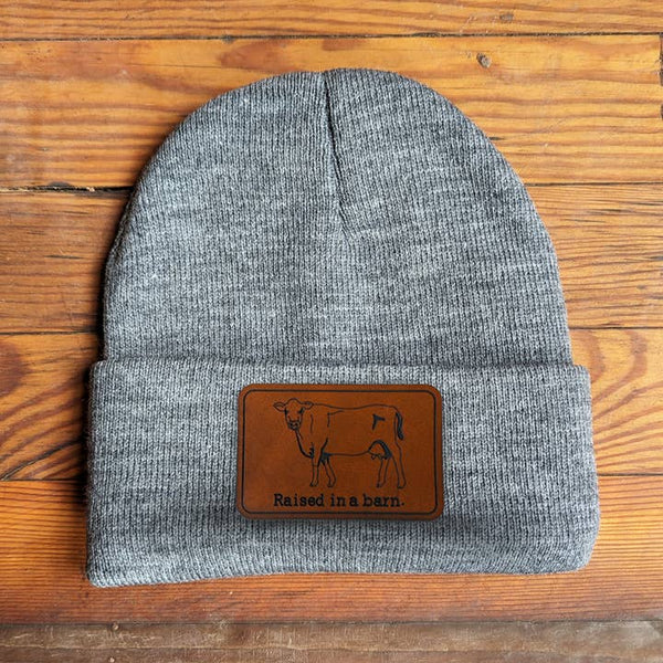 Raised In A Barn Beanie