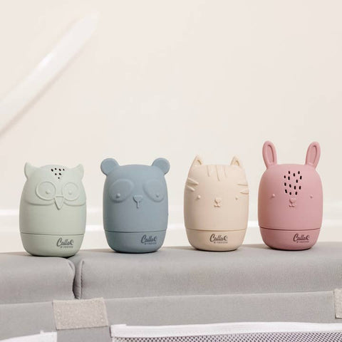 CF Ollie’s Friends Water Toys