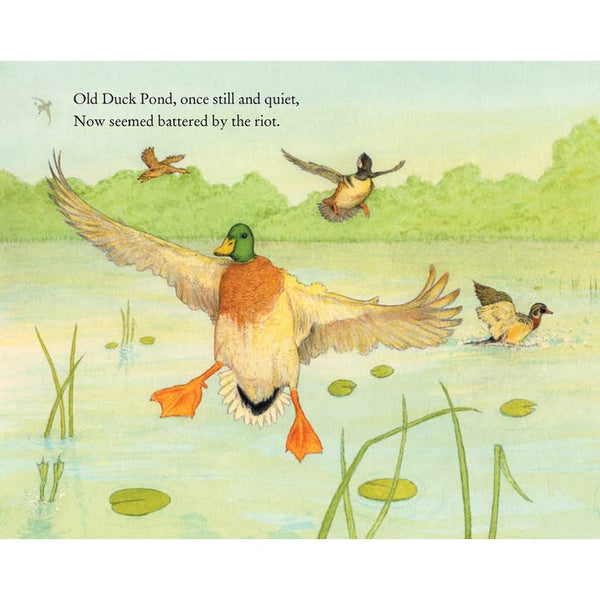 On Duck Pond