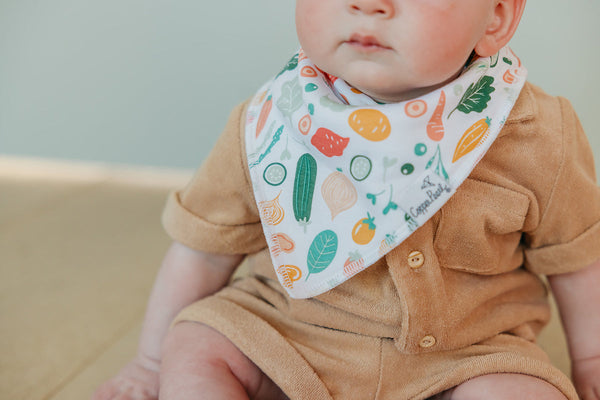 Baby Bandana Bib - Veggies