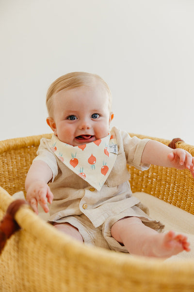 Baby Bandana Bib - Veggies