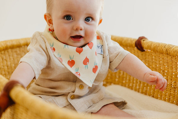 Baby Bandana Bib - Veggies