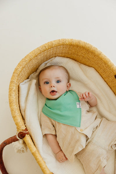 Baby Bandana Bib - Veggies