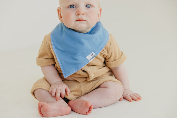 Baby Bandana Bib - Veggies