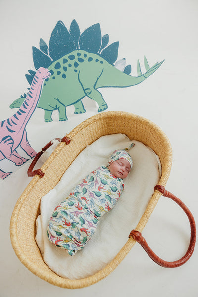 Knit Swaddle Blanket - Jurrassic Park