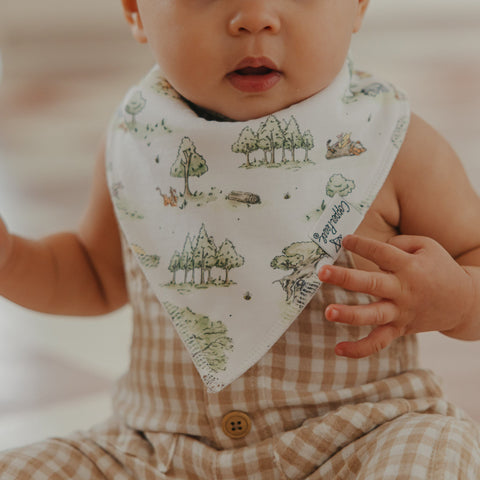 Bandana Bibs-Hundred Acre Wood
