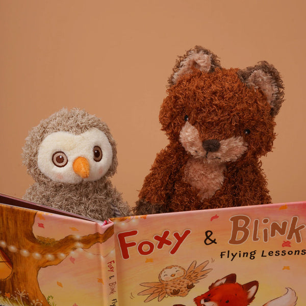 Foxy & Blink Flying Lesson Story Book