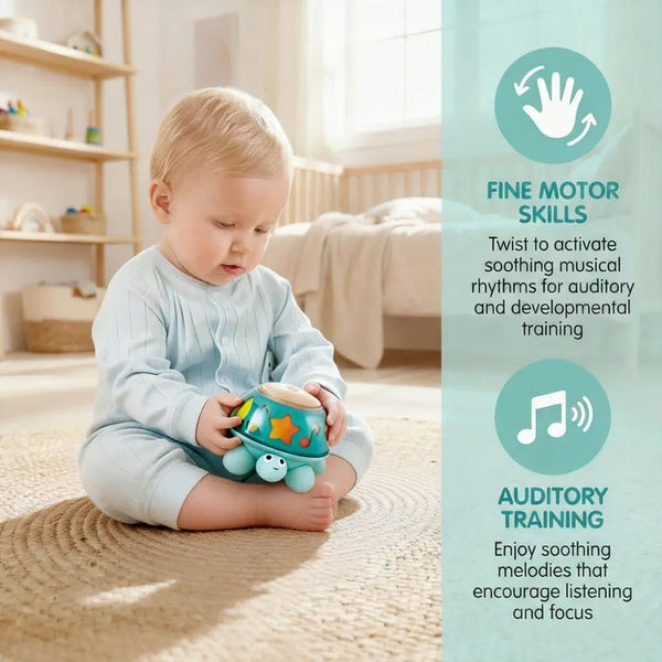 Hape Twist & Tune Turtle
