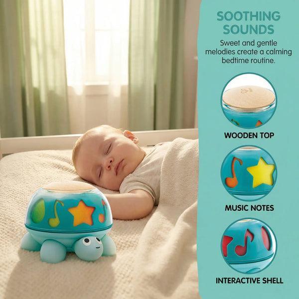 Hape Twist & Tune Turtle
