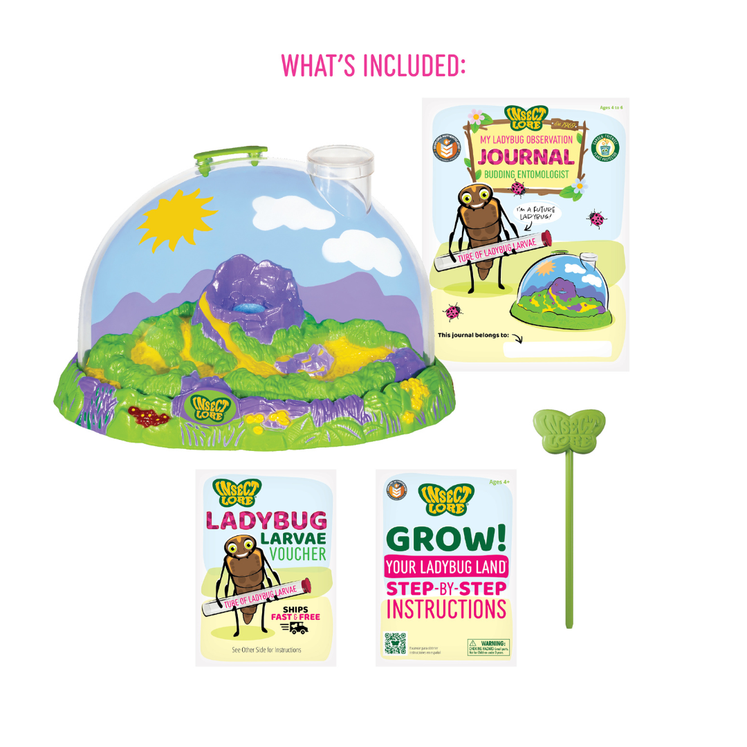 Ladybug Land W/ Prepaid Voucher – 4 Kids Only
