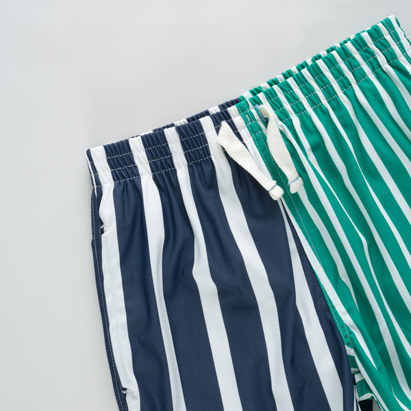 Multi Stripe Swim Trunks