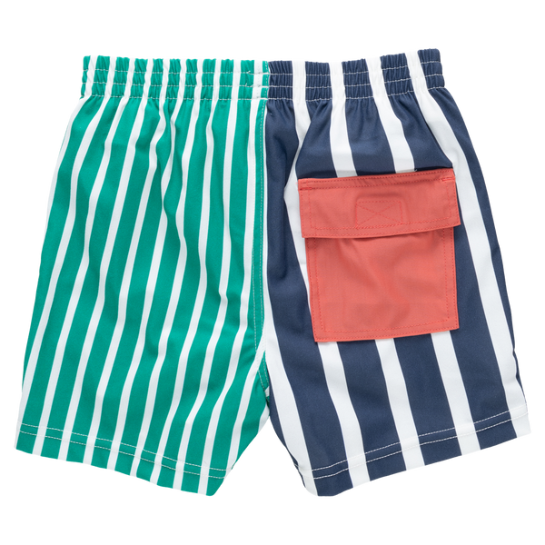 Multi Stripe Swim Trunks