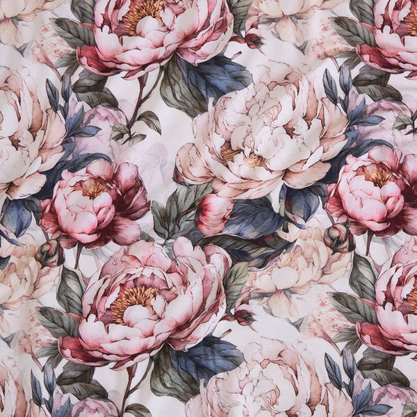 Women's Lace Robe - Aster