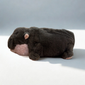 Pygmy Hippo Warmies