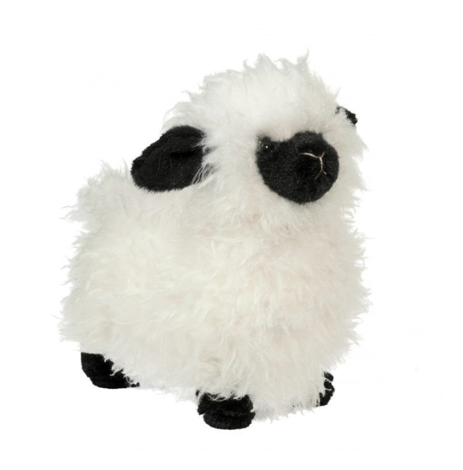 SHILOH LAMB SHEEP