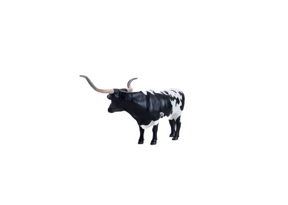 Texas Longhorn Steer Black/White