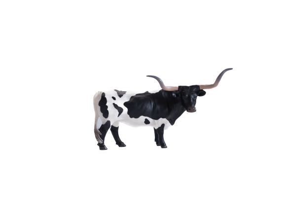 Texas Longhorn Steer Black/White