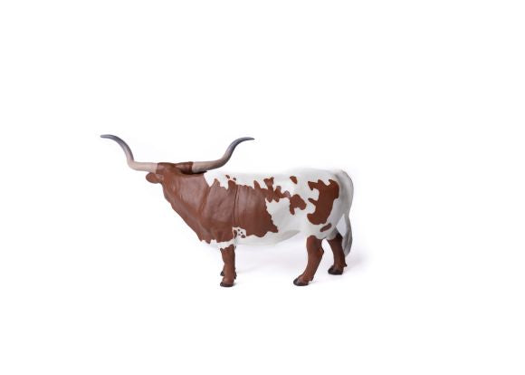 Texas Longhorn Steer Red/White